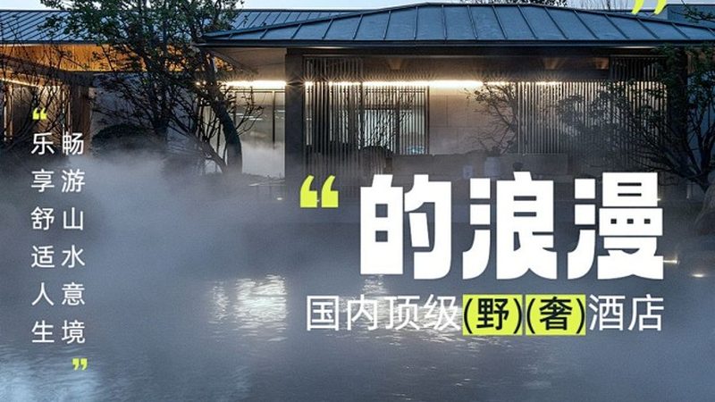 冬令营选牌，别只盯着大机构